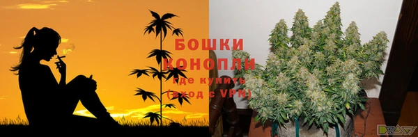 ECSTASY Дмитров