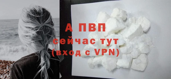 ECSTASY Дмитров