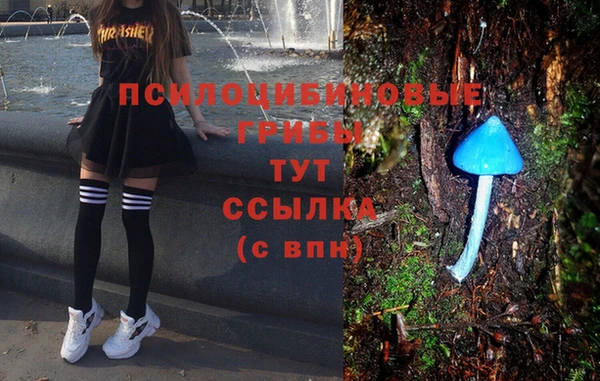 ECSTASY Дмитров