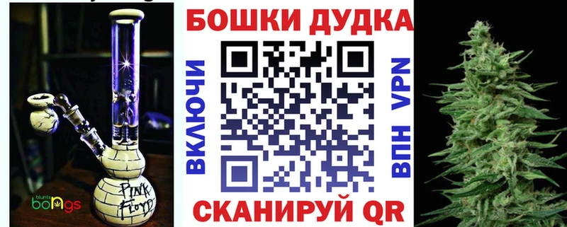 Бошки Шишки ГИДРОПОН  где можно купить наркотик  Закаменск 